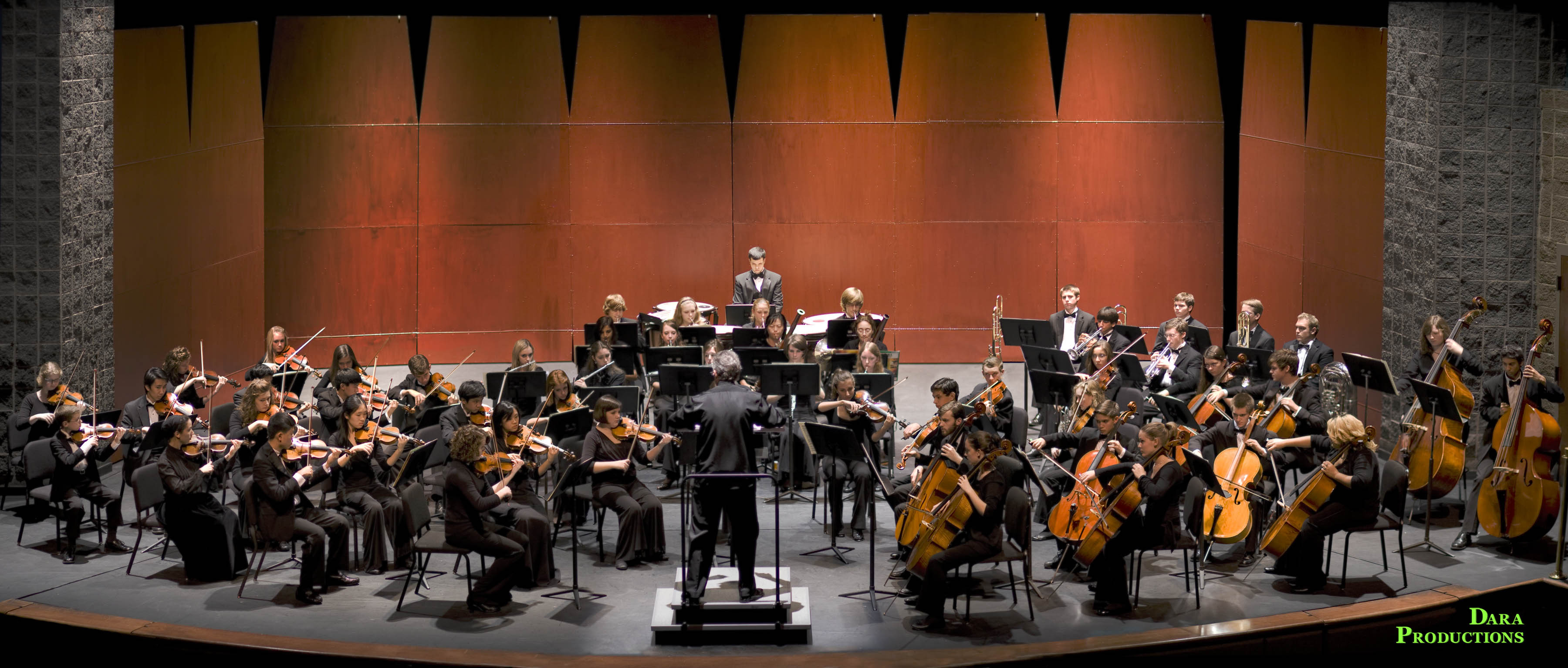 Greenville County Youth Orchestra in Greenville, South Carolina - A Vision Accomplished