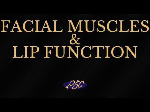 FACIAL MUSCLES & LIP FUNCTION — Purtle Brass Conference 2010 · III